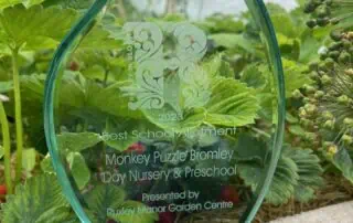 best school allotment award – winner – monkey puzzle bromley best school allotment award - winner - monkey puzzle bromley