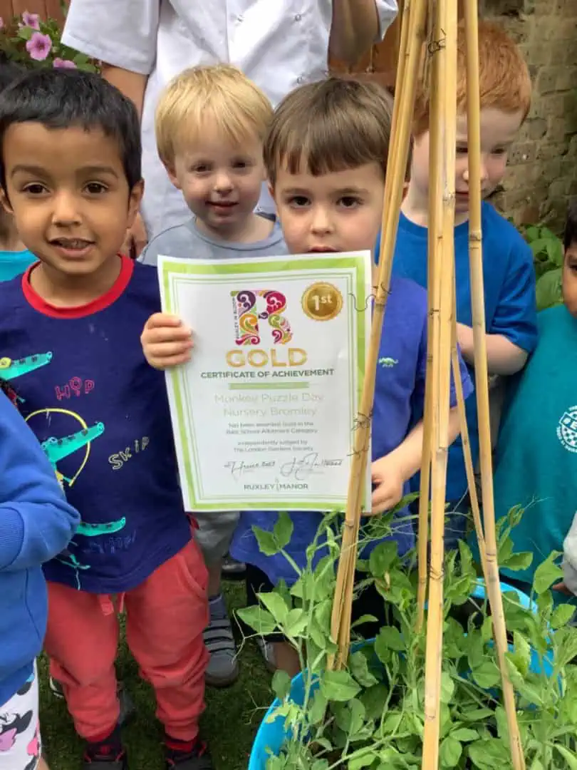 nursery children with our certificate nursery children with our certificate